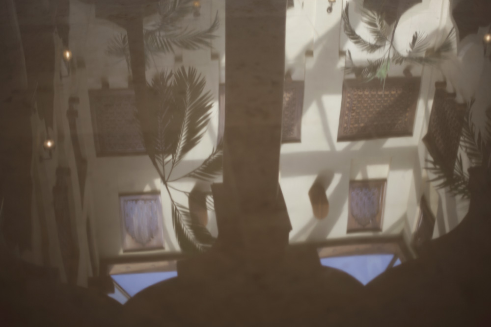 palme fuori dall'hotel doha