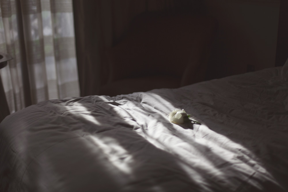 rosa white my room at sharq village doha qatar