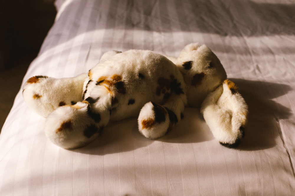 samantha de reviziis