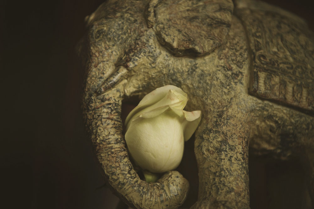 suite at the Portman Ritz Carlton Shanghai