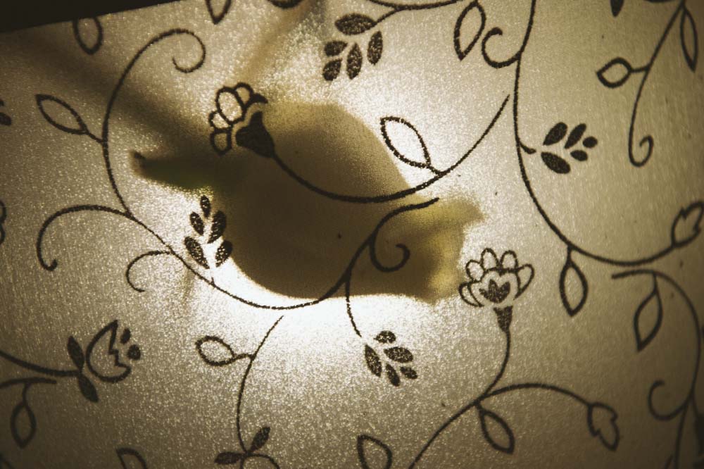 suite at the Portman Ritz Carlton Shanghai