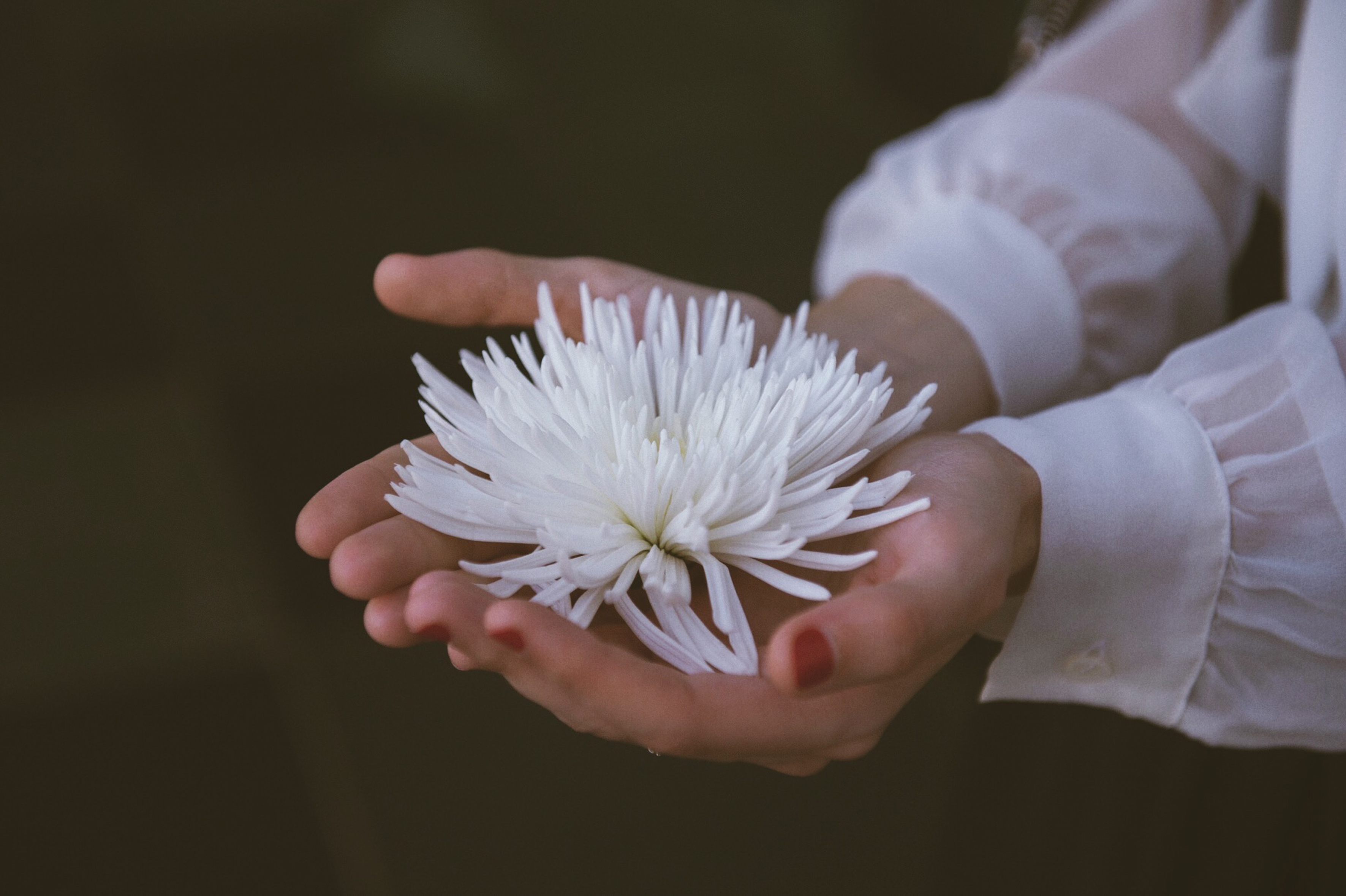 Samantha De Reviziis Arab Fashion Week