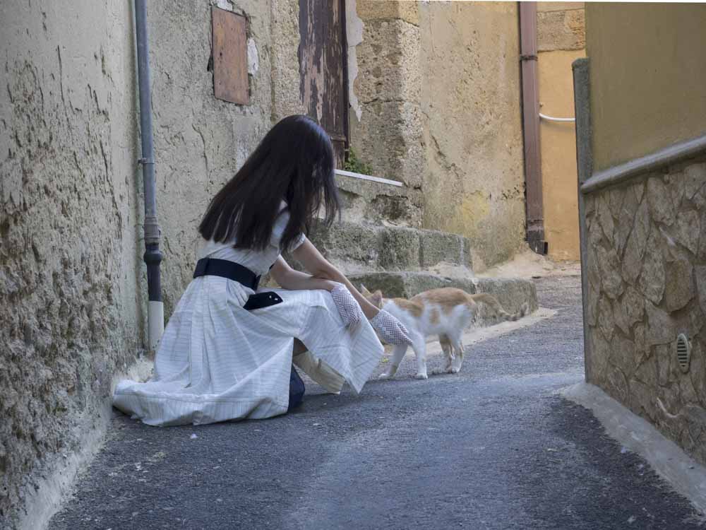 samantha e un gatto caltagirone sicilia